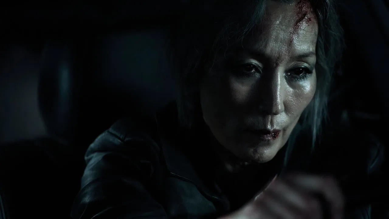 The Old Woman With The Knife