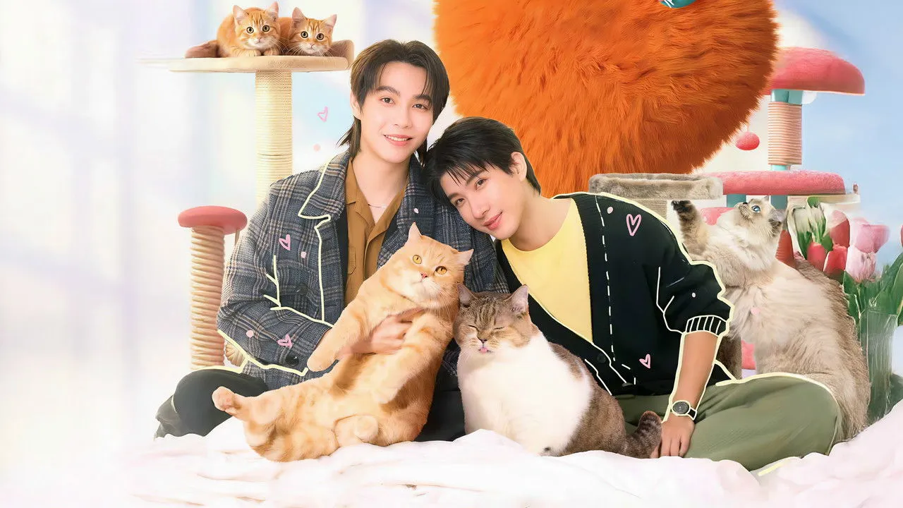 เปย์รักด้วยแมวเลี้ยง